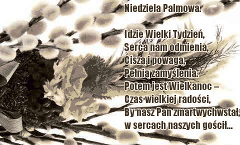 Palma i bazie z życzeniami